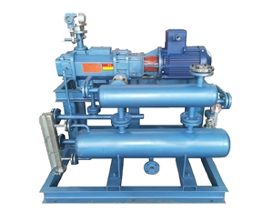 羅茨螺桿機(jī)組