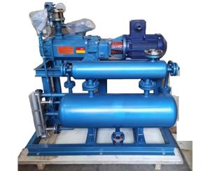 羅茨螺桿機(jī)組