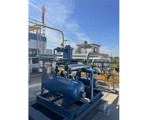 羅茨螺桿機(jī)組